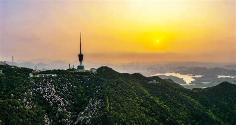 梧桐山|深圳市梧桐山风景区管理处